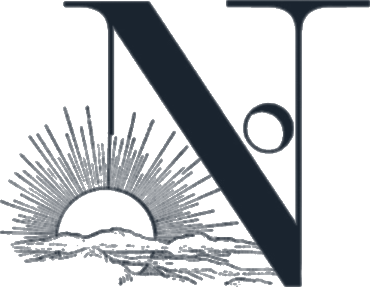 N Logo